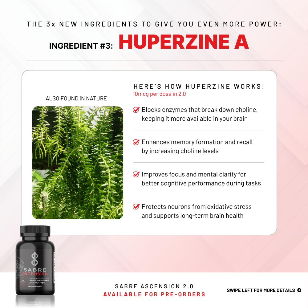 SABRE ASCENSION 2.0
